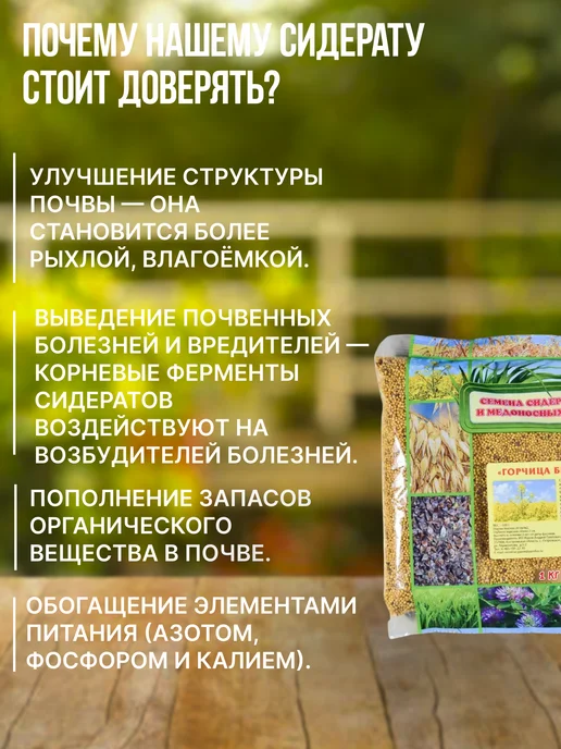 Зеленая планета Горчица белая Сидерат 1 кг, 1 кг, фото 4