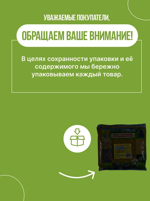 Зеленая планета Горчица белая Сидерат 1 кг, 1 кг, фото 5