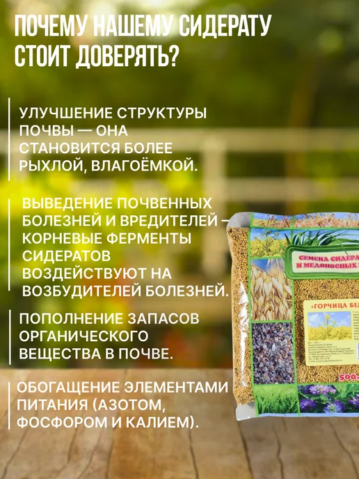 Зеленая планета Горчица белая Сидерат 1 кг, 500 г, фото 3