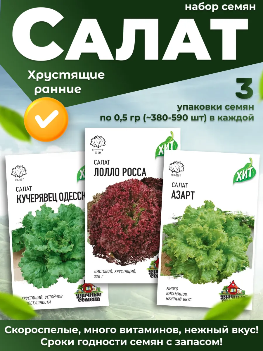 Салат семена 3 шт