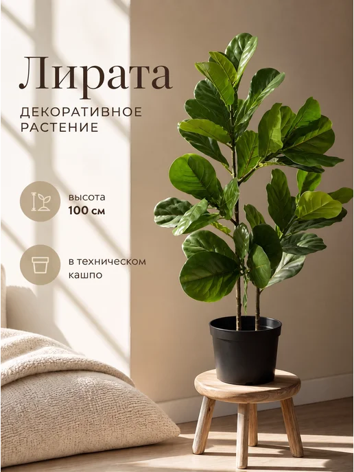 GRAND GREEN Искусственные цветы в горшке Лирата, зеленый