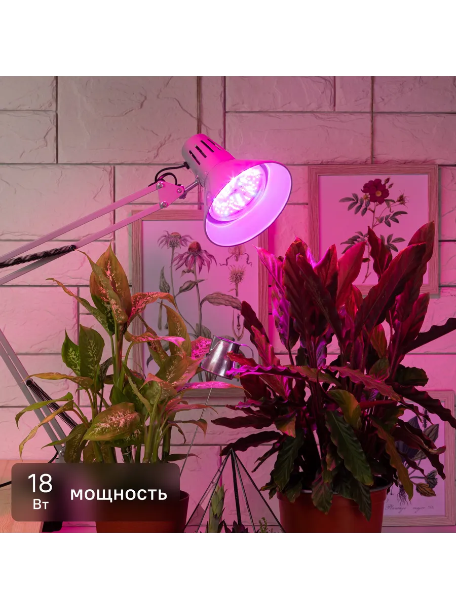 Фитолампа светодиодная для растений Эра fito 18 Вт RB E27 ЭРА 367291580 купить за 2 853 ₽ в интернет‑магазине Wildberries