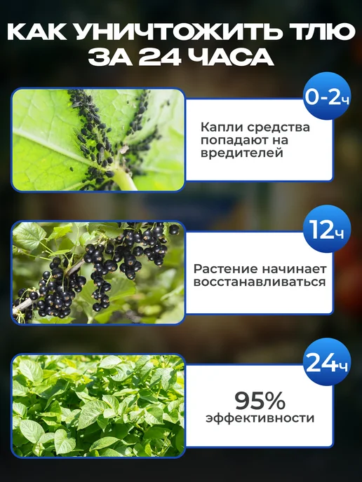 GREEN BELT Искра золотая от тли и белокрылки, 5 шт по 1 мл, 5 шт, 1 мл, фото 7