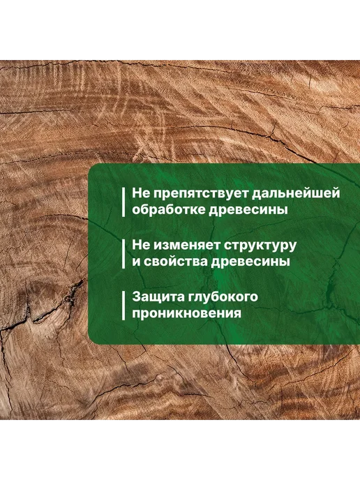 Prosept Антисептик против жуков и других биопоражений 5л, 5 л, фото 2