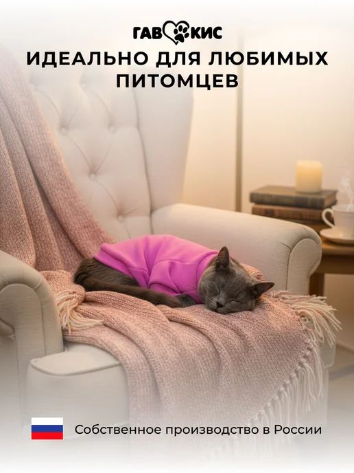 ГавКис Толстовка для кошек и собак мелких пород, фиолетовый, фото 6