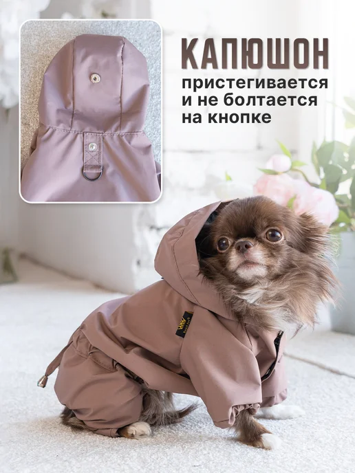 Royal Pet Дождевик для собак мелких пород Какао, коричневый, фото 2