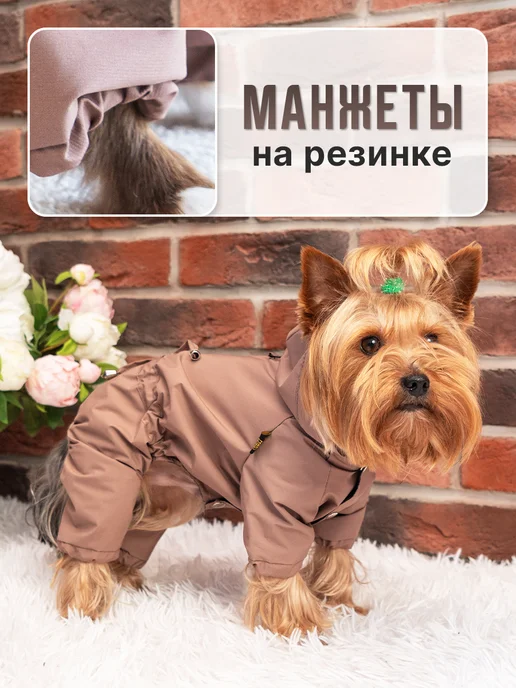 Royal Pet Дождевик для собак мелких пород Какао, коричневый, фото 4