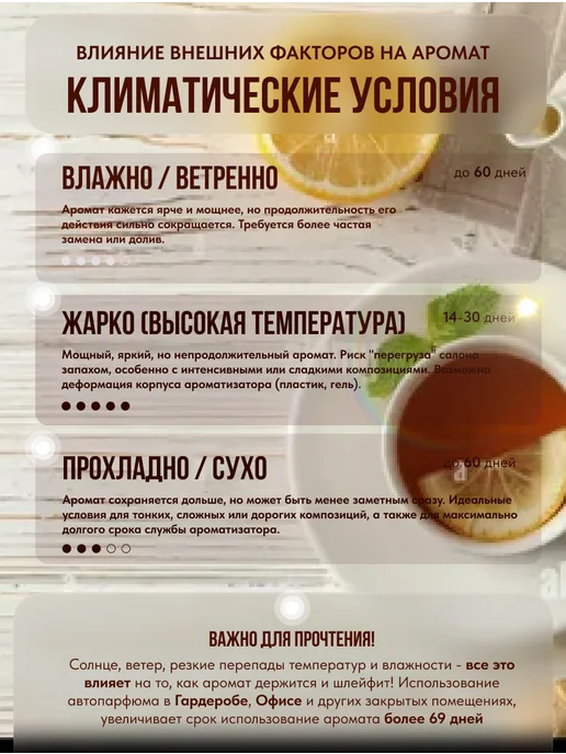 Mercy Maison Ароматизатор в машину автопарфюм подвесной, зеленый, фото 6