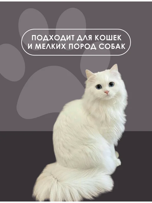 N1 Миска керамическая белая на подставке для кошек 230 мл, 230 мл, фото 2