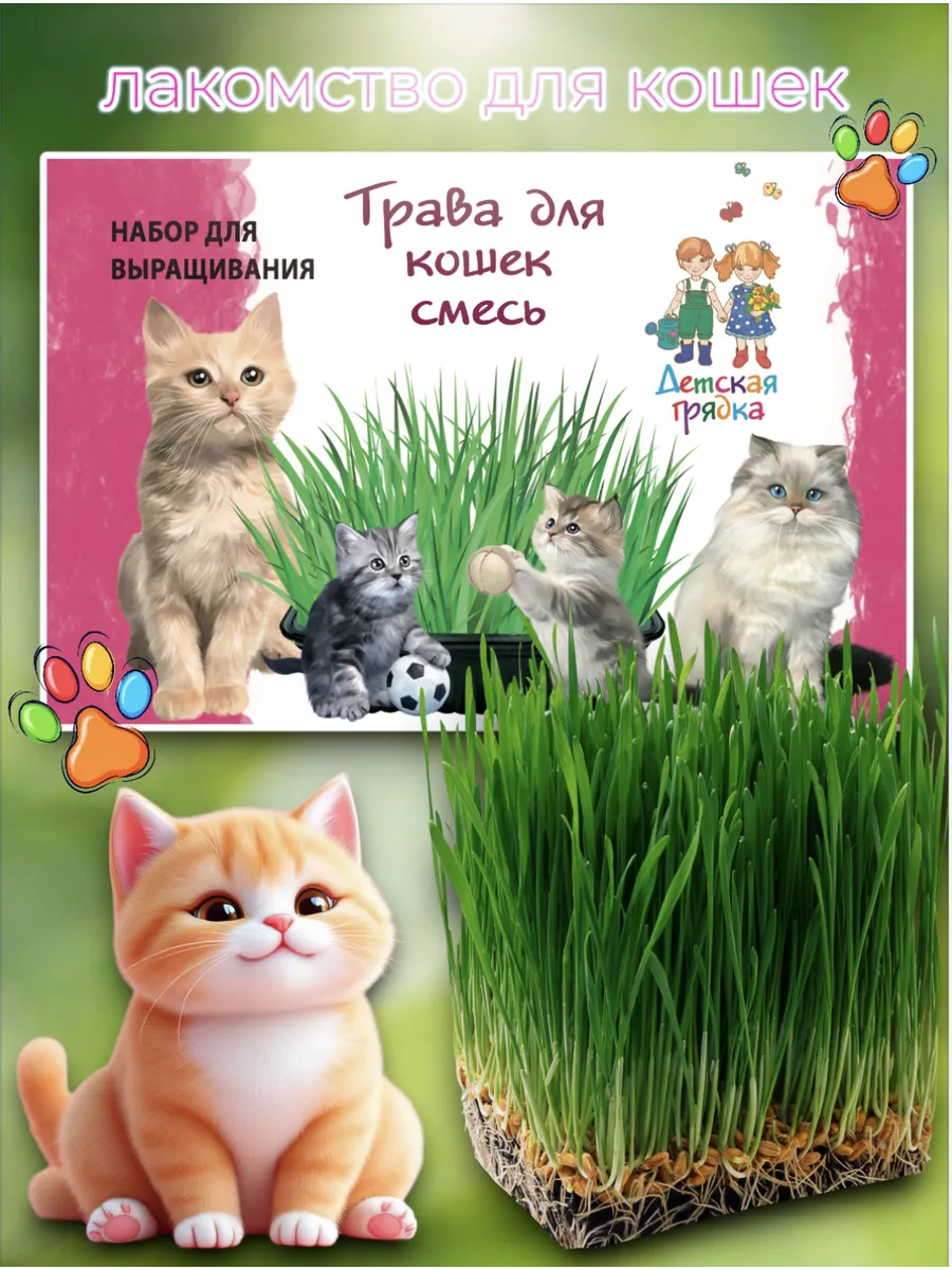 Набор травы для кошек
