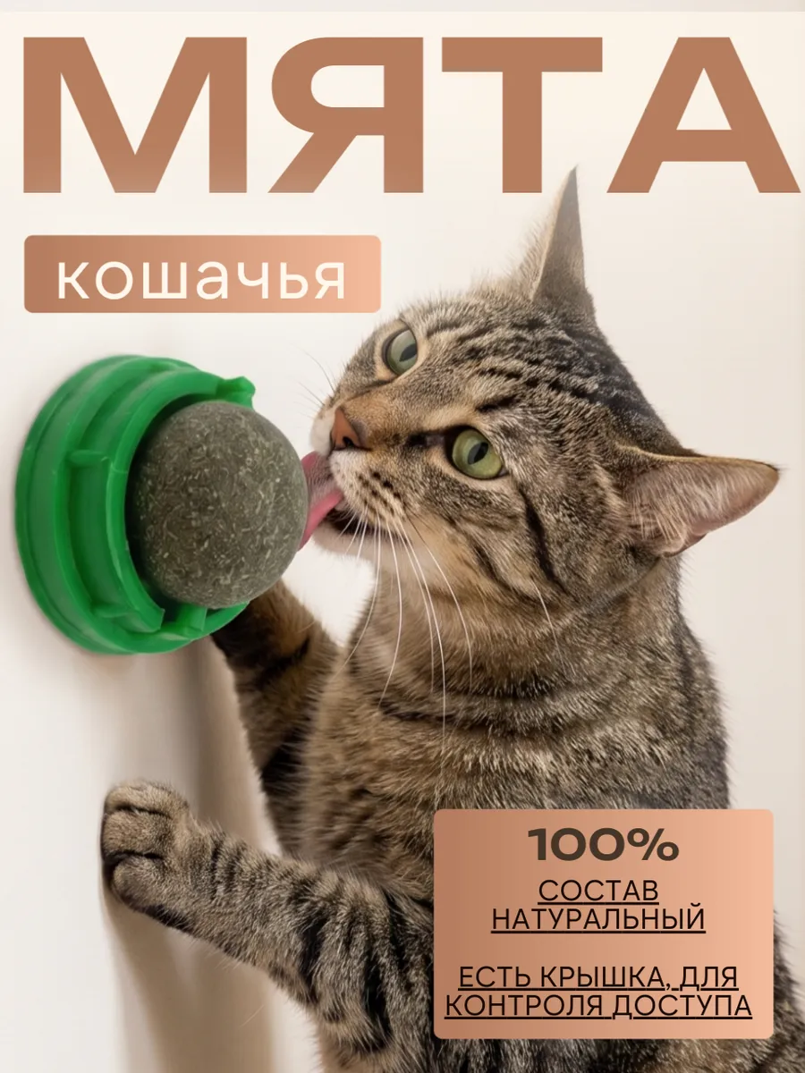 Кошачья мята шарик на стену леденец