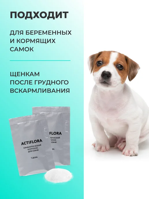 veda Пробиотики и пребиотик для собак, комплекс ACTIFLORA, 30х1гр, 1 г, фото 7