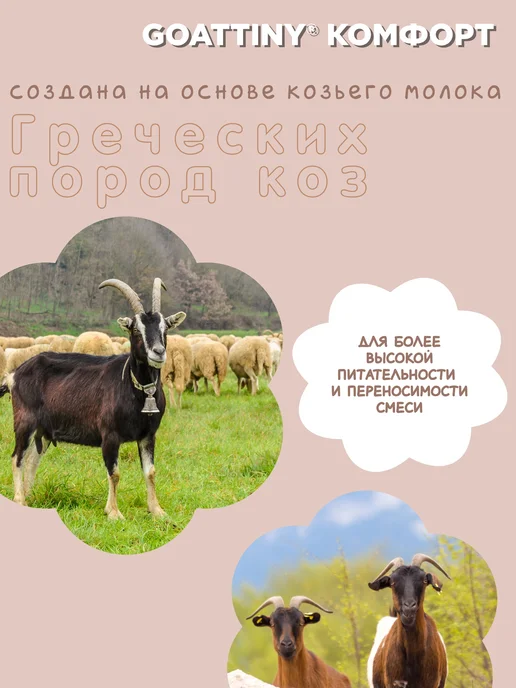 GOATTINY Смесь Гоаттини Комфорт с пребиотиками от колик и запоров, вариант, фото 6