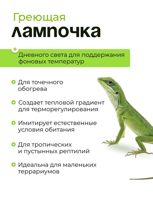 Magic Light Греющая лампа для террариума черепах уф 50 Вт набор, 50 Вт, 4 шт, фото 7