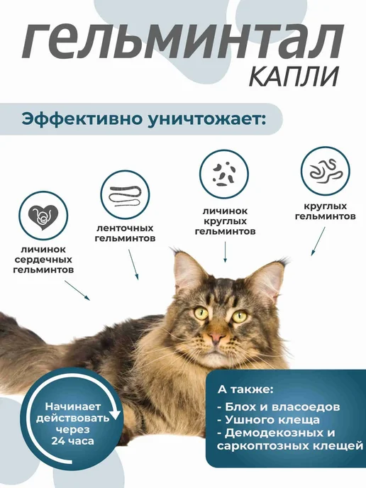 Neoterica Гельминтал капли для кошек 4-10 кг от глистов блох, 1 пип, 10 кг, фото 2
