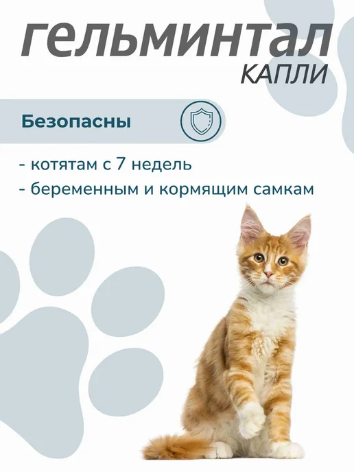 Neoterica Гельминтал капли для кошек 4-10 кг от глистов блох, 1 пип, 10 кг, фото 4