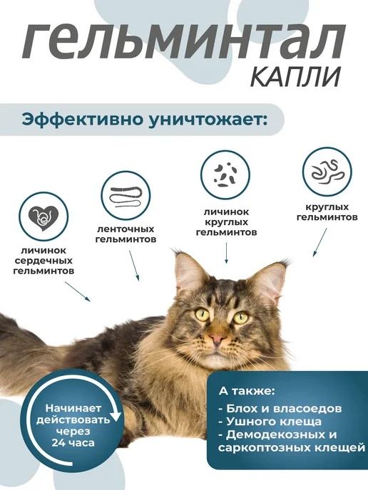 Neoterica Гельминтал капли для кошек 4-10 кг от глистов блох, 3 пип, 10 кг, фото 2