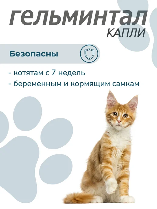 Neoterica Гельминтал капли для кошек 4-10 кг от глистов блох, 3 пип, 10 кг, фото 4