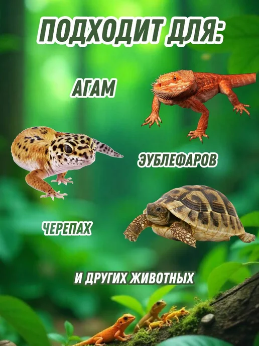Heating reptile УФ-лампа для террариума UVB 10.0 (рептилии, черепахи) E27, вариант, фото 2