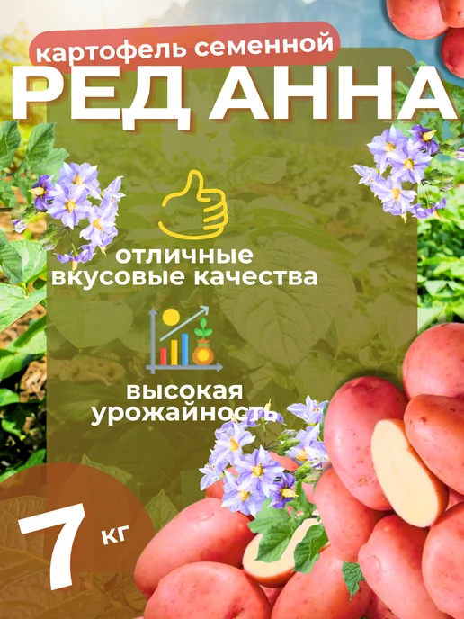 Семенной картофель Ред Анна 7 кг, 7 кг