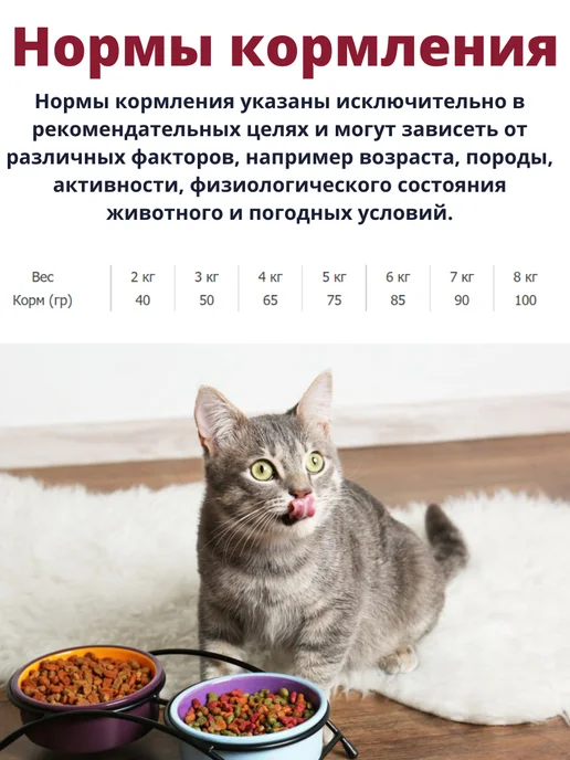 Сухой корм TRAINER Трейнер. Кошек для собак, взрослые, 1,6 кг, фото 2