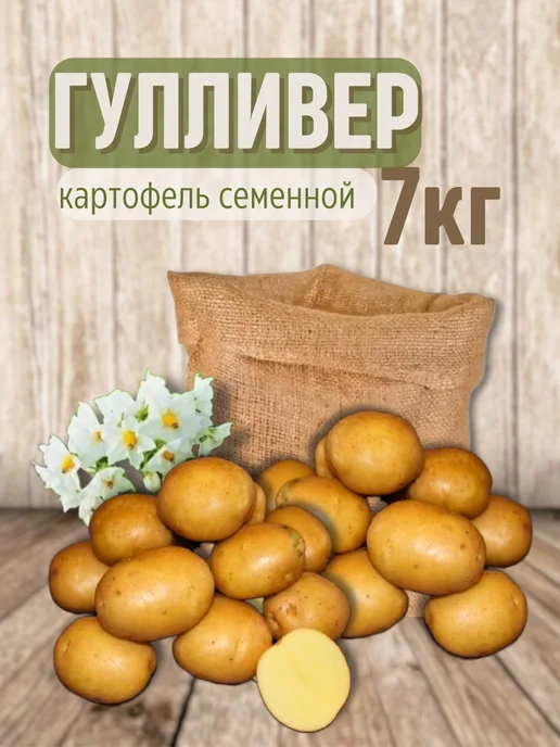 Картофель 21 Картофель семенной Гулливер 7 кг, 7 кг