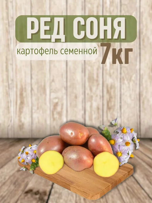 Картофель 21 Картофель семенной Ред Соня 7 кг, 7 кг