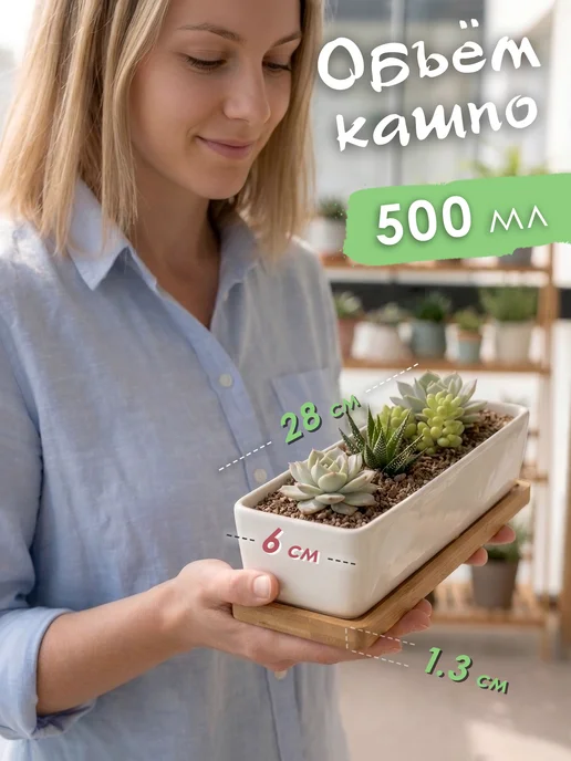 KerGen Кашпо для суккулентов широкий с подставкой, белый, фото 2