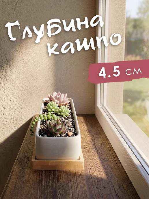 KerGen Кашпо для суккулентов широкий с подставкой, белый, фото 4