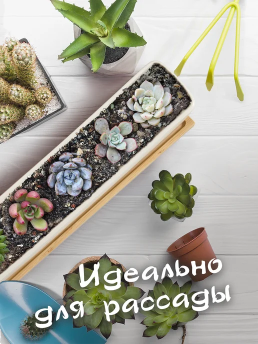 KerGen Кашпо для суккулентов широкий с подставкой, белый, фото 5