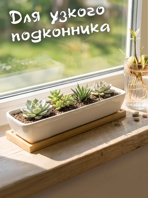 KerGen Кашпо для суккулентов широкий с подставкой, белый, фото 6