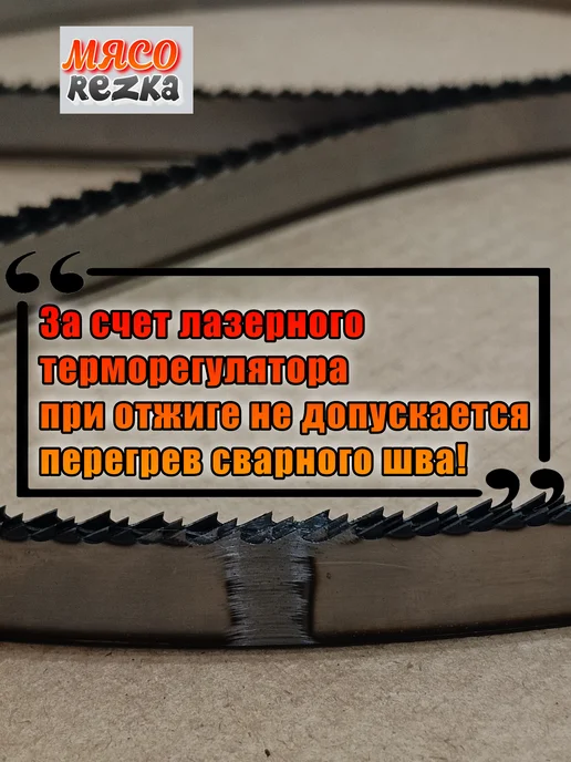 banso Полотно ленточное для мяса 1650-16-0,6-4tpi, вариант, фото 5