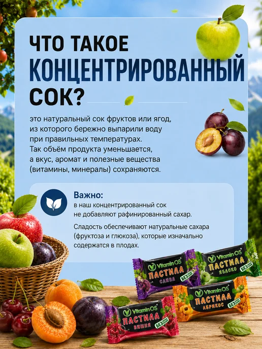VitaminOS Пастила без сахара фруктовая натуральная Ассорти 1500 г, 400 г, фото 5